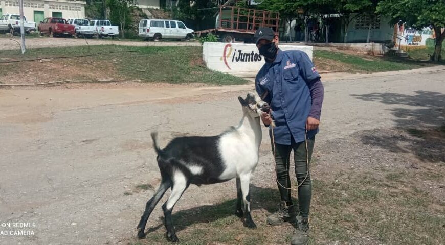 (VENEZUELA) ALCALDÍA DE IRIBARREN MUESTRA UNA GESTIÓN PRODUCTIVA AUTOSUSTENTABLE