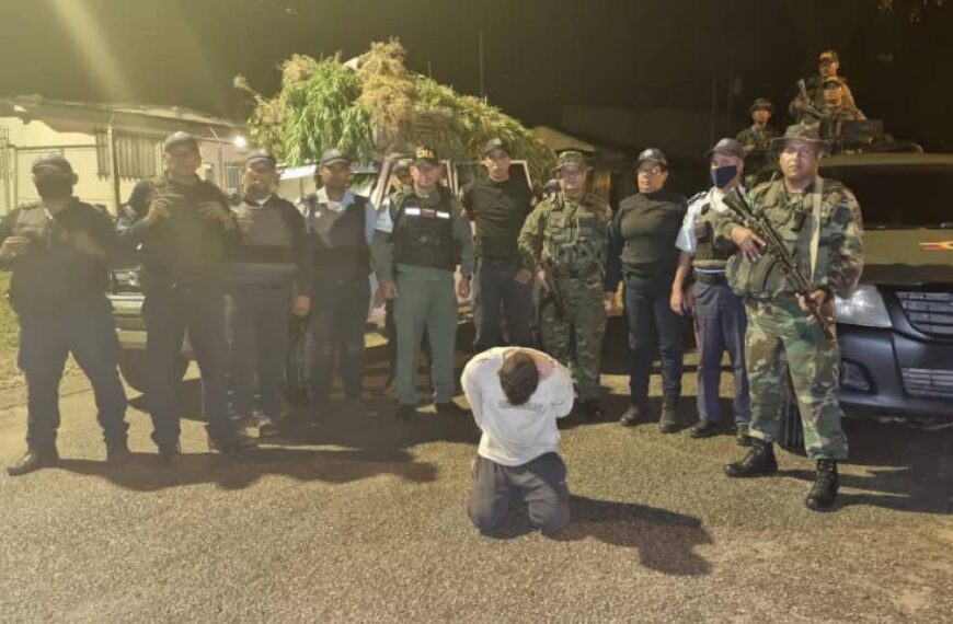 (VENEZUELA) OPERACIÓN CACIQUE CAYAURIMA DESTRUYE SEMBRADÍO DE MARIHUANA EN SUCRE