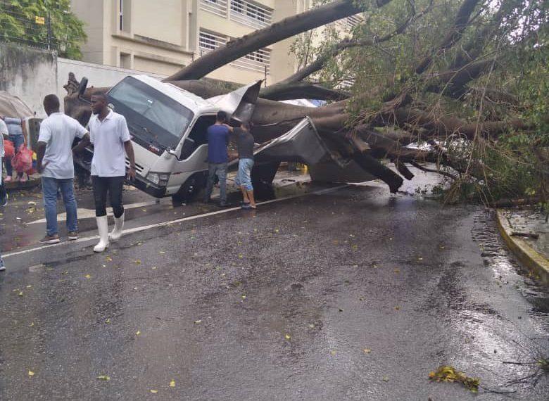 (VENEZUELA) FUERTES LLUVIAS Y RÁFAGAS DE VIENTOS PROVOCAN CAÍDA DE ÁRBOLES EN CARACAS