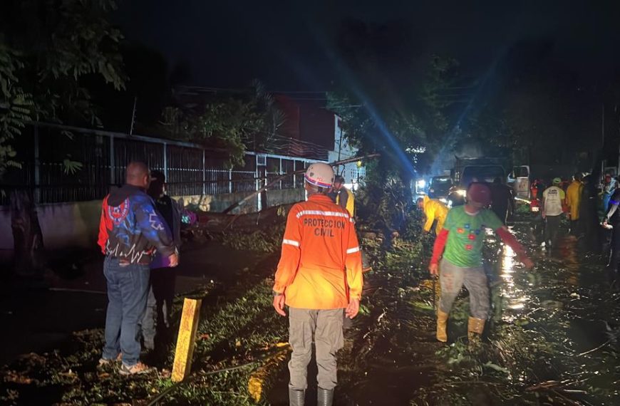 (VENEZUELA) MÁS DE 25 ÁRBOLES DESPEJADOS POR PROTECCIÓN CIVIL Y ADMINISTRACIÓN DE DESASTRES