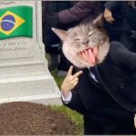 (QATAR) BRASIL FUERA DEL MUNDIAL, SERÁ EL KARMA POR LA MALDICIÓN DEL GATO?