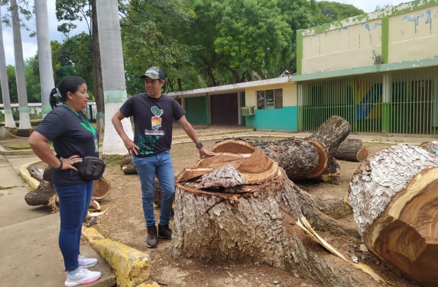 (VENEZUELA) INECOLARA FISCALIZÓ E INICIÓ INVESTIGACIÓN DE PRESUNTA TALA DE GRAN PROPORCIÓN EN COMPLEJO FERIAL DE CARORA