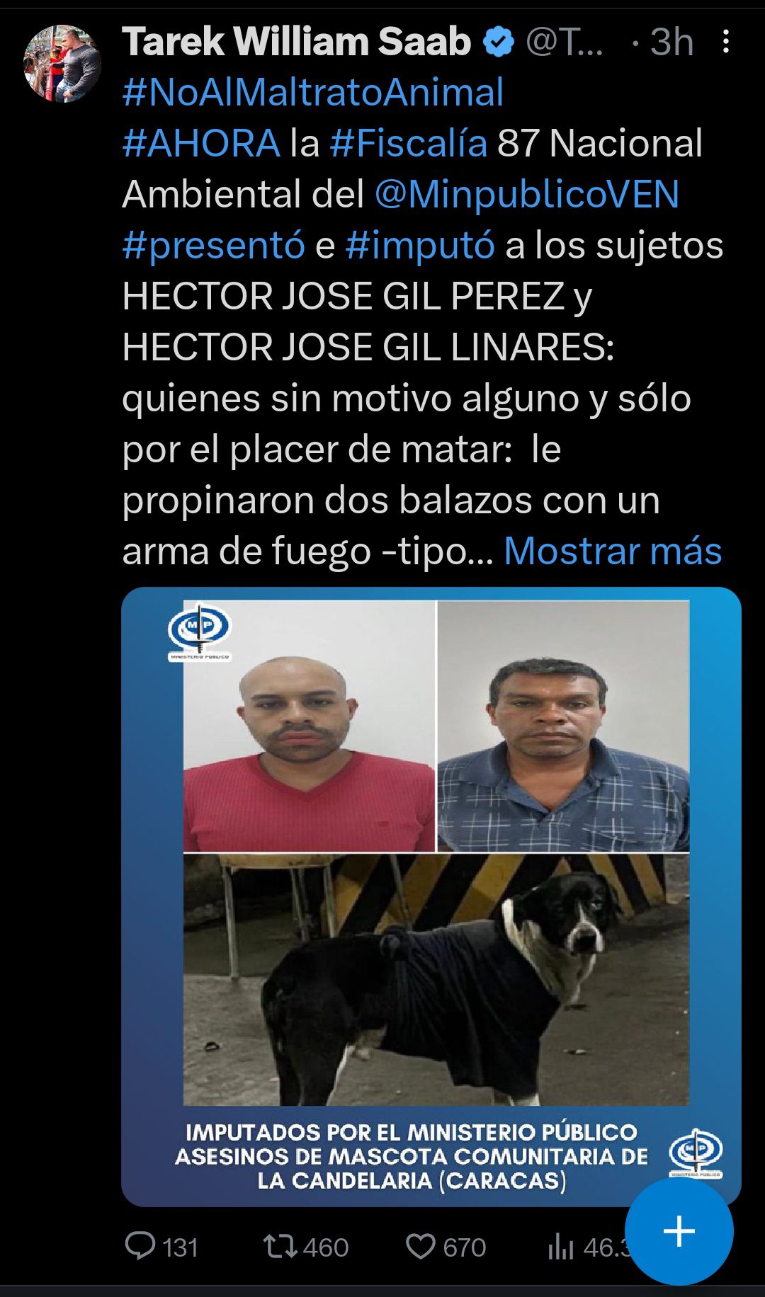 (VENEZUELA) DETENIDOS E IMPUTADOS DOS SUJETOS POR ASESINAR A MASCOTA ...