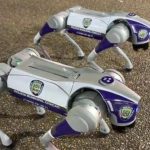 (VENEZUELA) ¡A LA VANGUARDIA TECNOLÓGICA! PERROS ROBÓTICOS SERÁN GARANTES DE LA SEGURIDAD CIUDADANA EN CHACAO