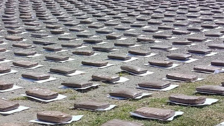 (VENEZUELA) CICPC DECOMISA 440 KILOGRAMOS DE ESTUPEFACIENTES EN UN CENTRO DE ACOPIO AGRÍCOLA