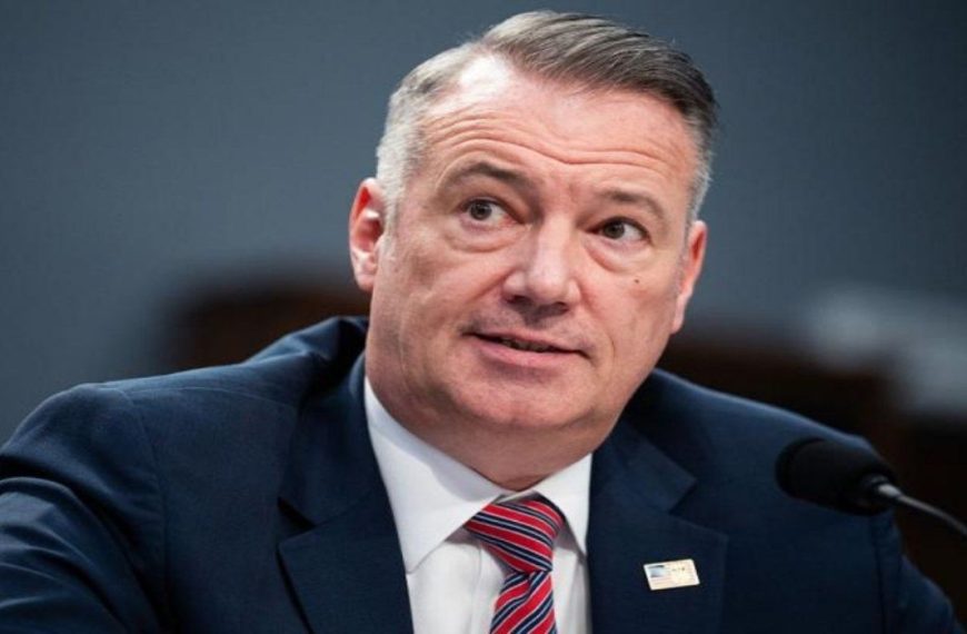 (EEUU) DIMITE TODD LYONS DIRECTOR INTERINO DE ICE