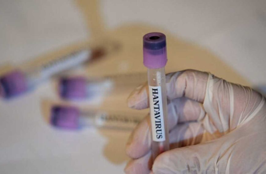 (BRASIL) AUTORIDADES SANITARIAS CONFIRMAN UN FALLECIMIENTO POR HANTAVIRUS EN MINAS GERAIS