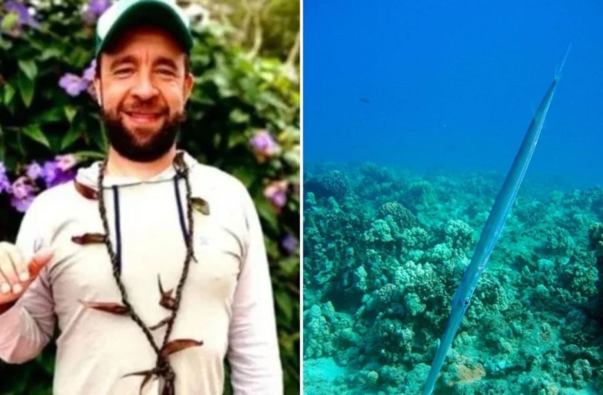 (MUNDO) ¡SORPRENDENTE! PEZ ESPADA ATRAVESÓ CORAZÓN DE UN SURFISTA CUANDO NADABA