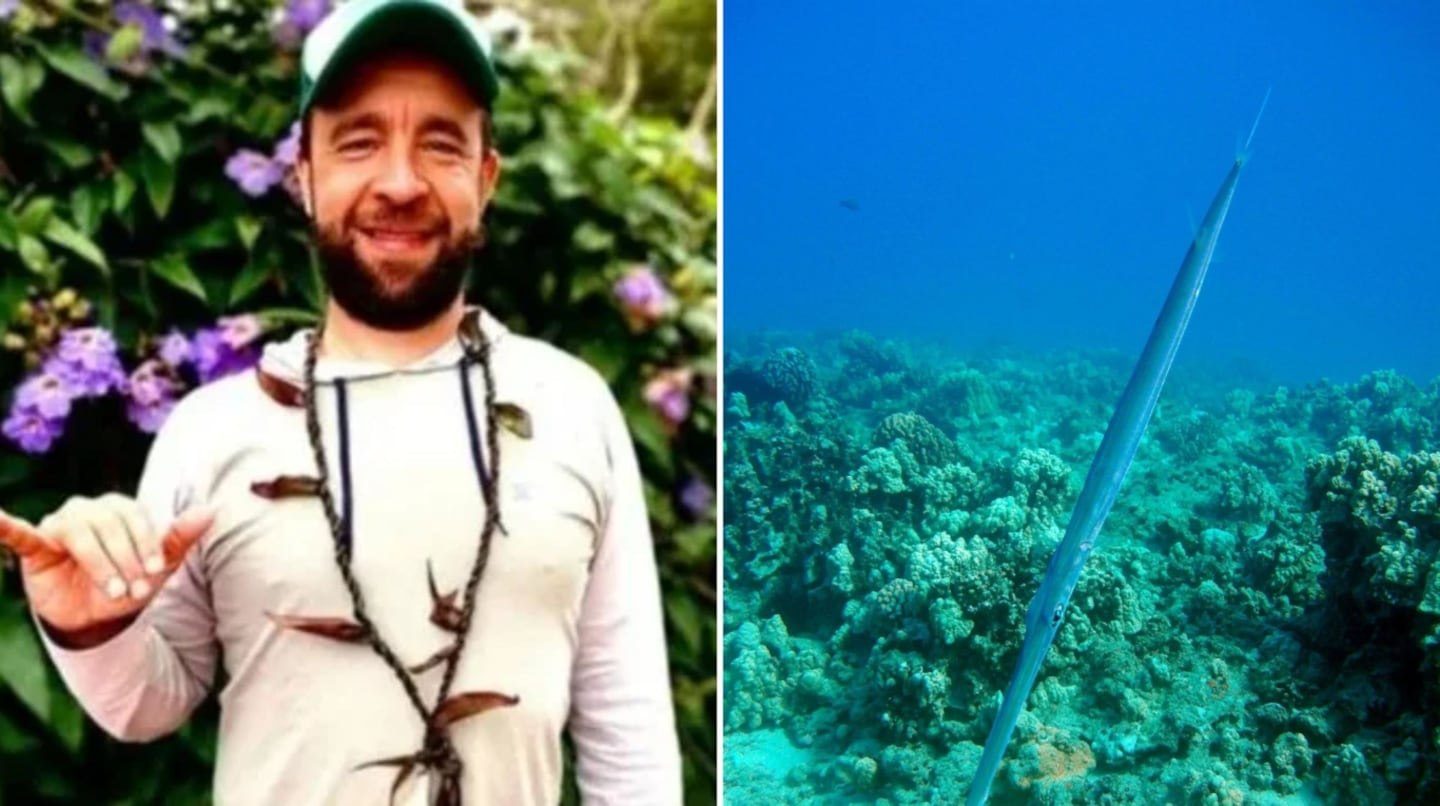 (MUNDO) ¡SORPRENDENTE! PEZ ESPADA ATRAVESÓ CORAZÓN DE UN SURFISTA CUANDO NADABA