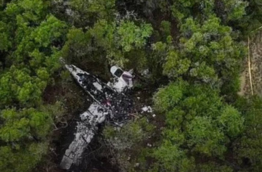 (EEUU) 5 JUGADORES DE PICKLEBALL FALLECIERON EN ACCIDENTE AÉREO EN TEXAS