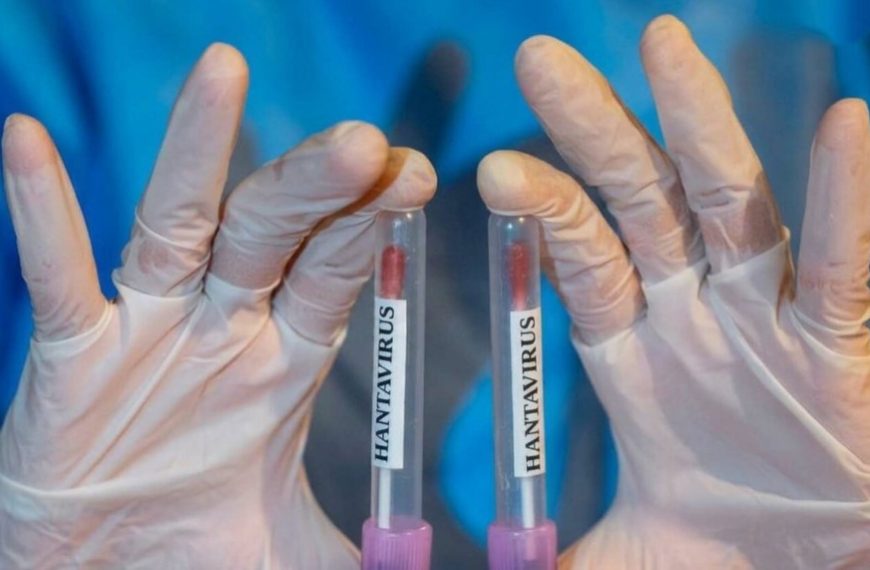 (MUNDO) OMS EMITE ALERTA SOBRE RIESGO DEL HANTAVIRUS
