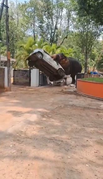 (INDIA) ¡IMÁGENES SENSIBLES! ELEFANTE FUERA DE CONTROL MATÓ A UNA PERSONA Y REALIZÓ DESTROZOS EN UN TEMPLO DE ANGAMALY(+VIDEO)