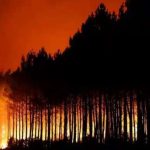 (MUNDO) VENEZUELA SE SOLIDARIZA CON ESPAÑA Y FRANCIA ANTE INCENDIOS FORESTALES