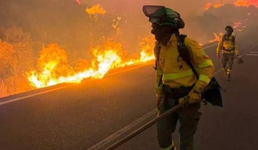 (ARGELIA) 11 FALLECIDOS Y 19 HERIDOS DEJA VORAZ INCENDIO EN UN ORFANATO