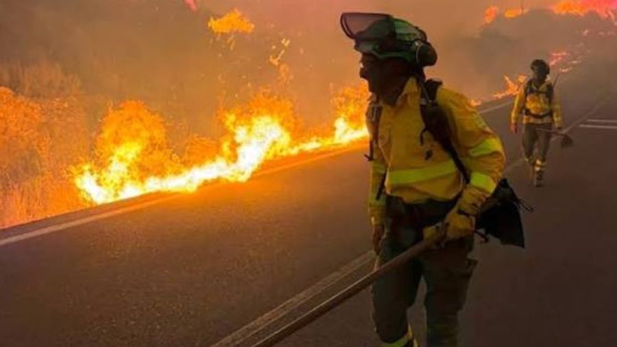 (ARGELIA) 11 FALLECIDOS Y 19 HERIDOS DEJA VORAZ INCENDIO EN UN ORFANATO