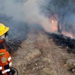 (BOLIVIA) DECLARAN ESTADO DE DESASTRE EN SAN LORENZO ANTE INCENDIOS FORESTALES