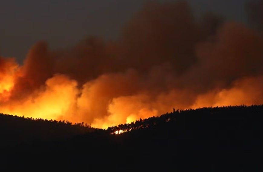 (PORTUGAL) AUTORIDADES DECLARAN BAJO CONTROL INCENDIO QUE DEVASTÓ EL NORESTE DEL PAÍS