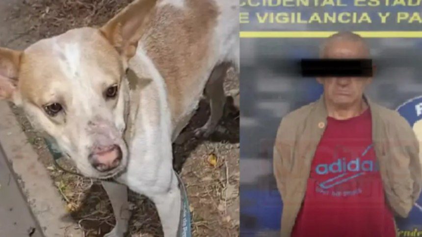 (VENEZUELA) CAPTURA A SUJETO POR PRESUNTO ACTO DE ZOOFILIA CONTRA UN PERRO EN BARQUISIMETO
