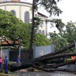 (VENEZUELA) LLUVIAS INTENSAS CON VIENTOS HURACANADOS DEJAN ÁRBOLES Y VALLAS PUBLICITARIAS CAÍDAS EN MATURÍN (+VIDEO)
