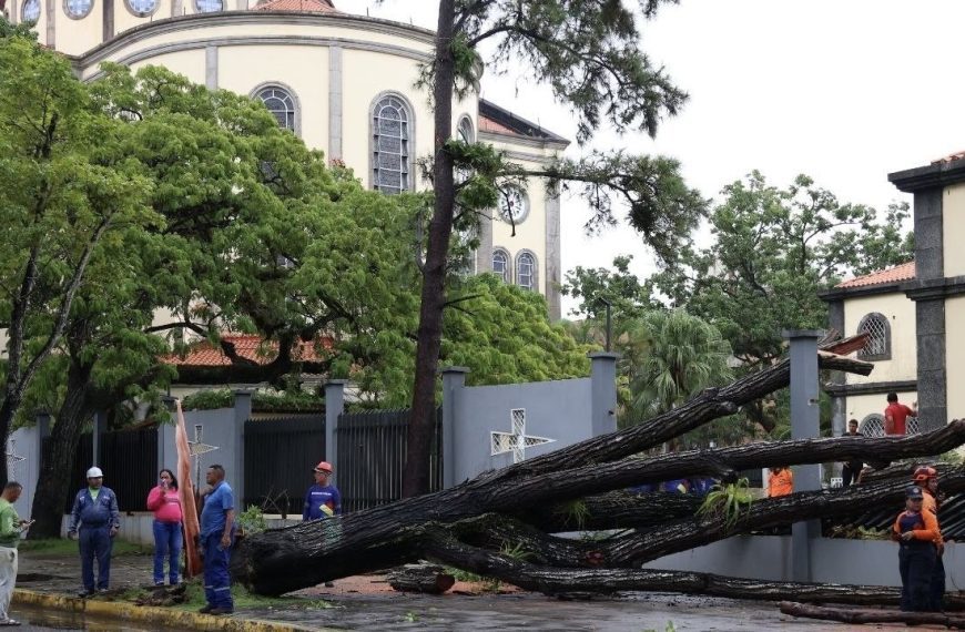 (VENEZUELA) LLUVIAS INTENSAS CON VIENTOS HURACANADOS DEJAN ÁRBOLES Y VALLAS PUBLICITARIAS CAÍDAS EN MATURÍN (+VIDEO)