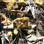 (COLOMBIA) ASCENDIÓ A 51 NÚMERO DE VÍCTIMAS FATALES TRAS POTENTE TERREMOTO DE MAGNITUD 7,4