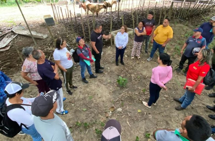 (VENEZUELA) PALAVECINO SE SUMA AL PLAN NACIONAL DE CARACTERIZACIÓN DEL GANADO BOVINO