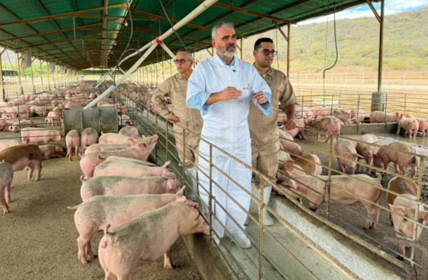 (VENEZUELA) MINISTRO PADRINO LÓPEZ RESALTA CRECIMIENTO DE PRODUCCIÓN PORCINA