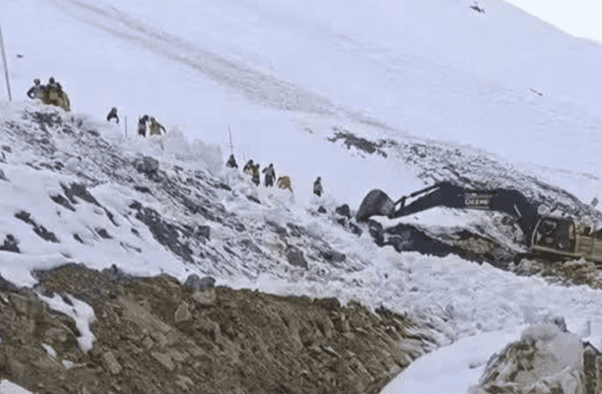 (CHILE) DOS MINEROS FALLECIERON ATRAPADOS POR UN ALUD DE BARRO Y NIEVE