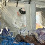 (SUIZA) AUTORIDADES SANITARIAS ACLARAN ORIGEN DE LA PACIENTE CONTAGIADA DE ÉBOLA